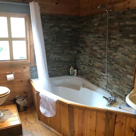 Bryn Fach Log Cabin Merthyr Cynog Exterior photo